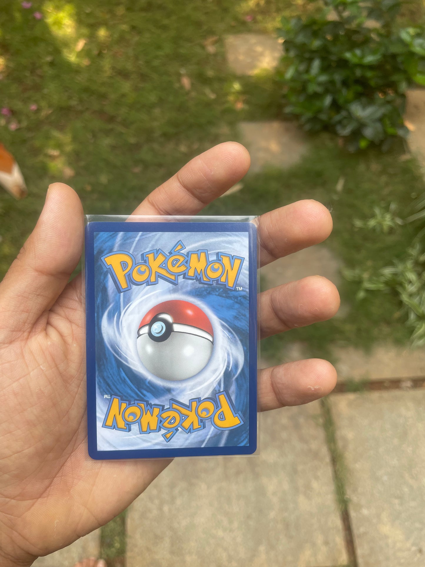 2023 Pikachu #160 Crown Zenith