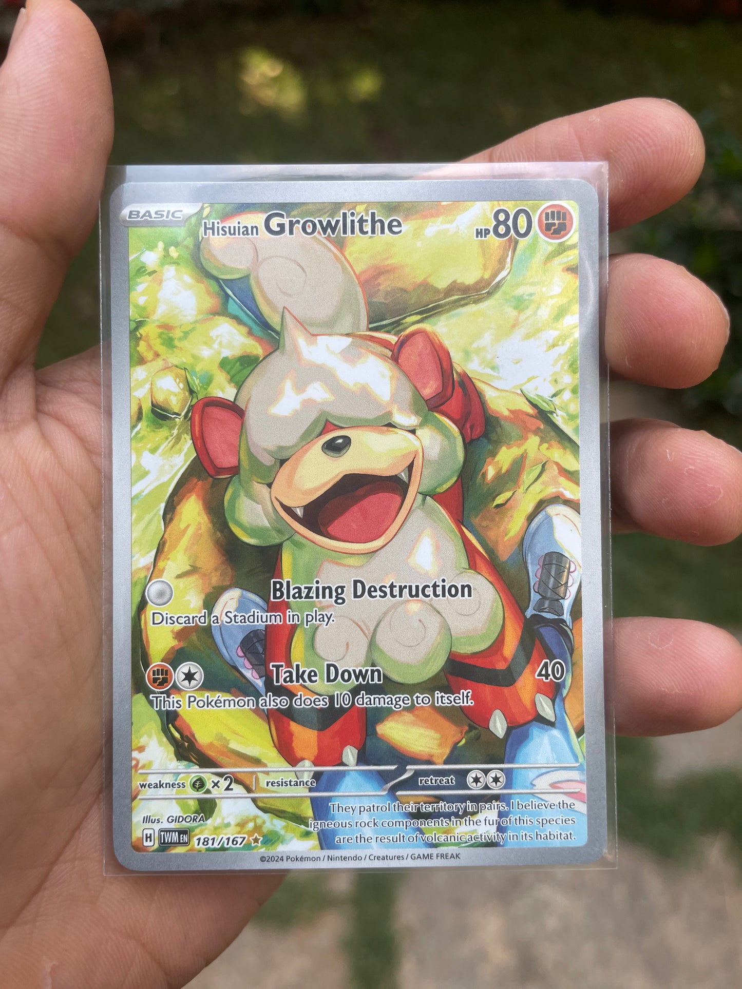 2024 Hisuain Growlithe #181 Twilight Masquerade