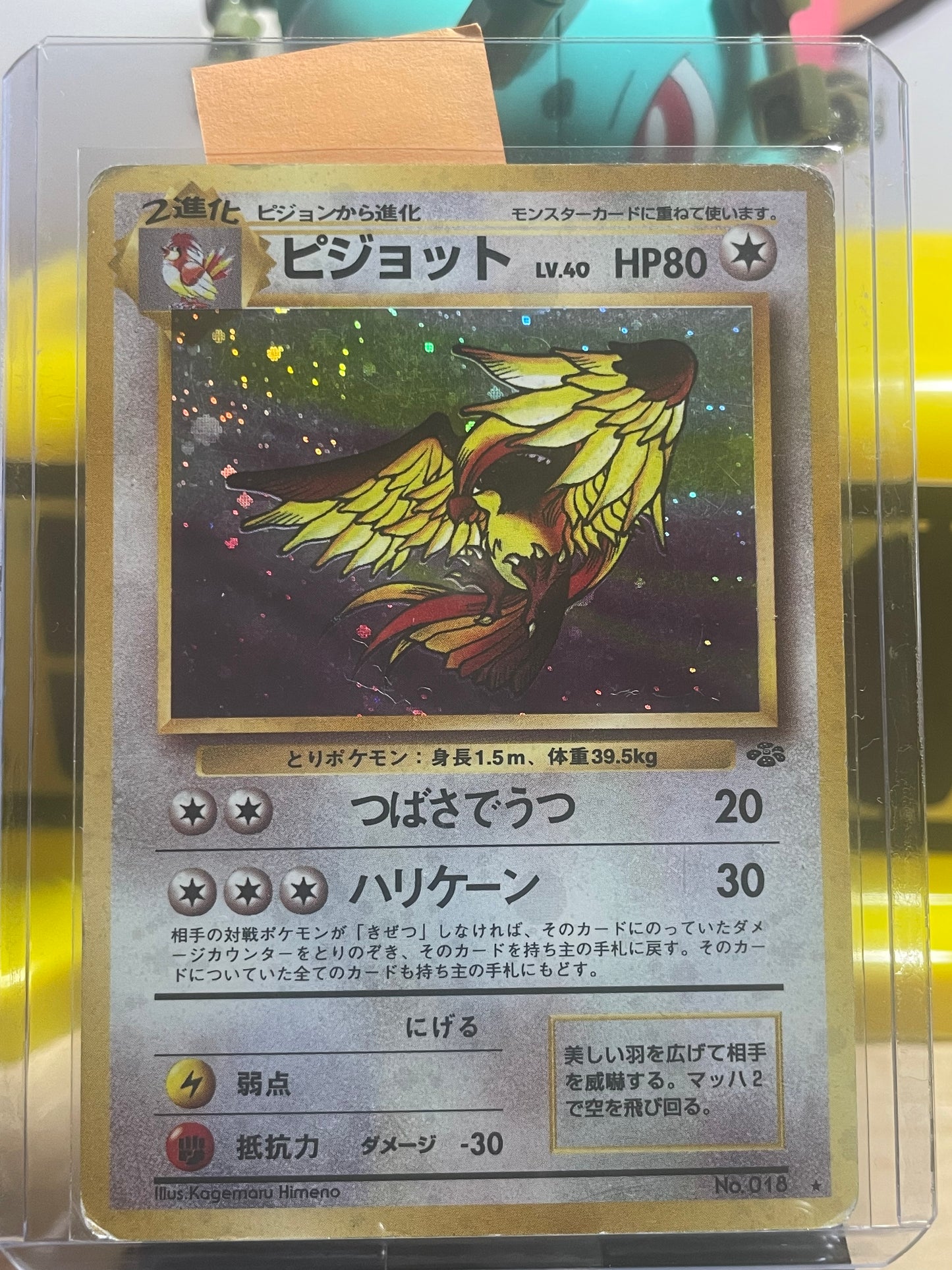 1997 Pidgeot #18 Jungle (JP)