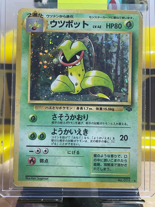 1997 Victreebel #71 Jungle (JP)