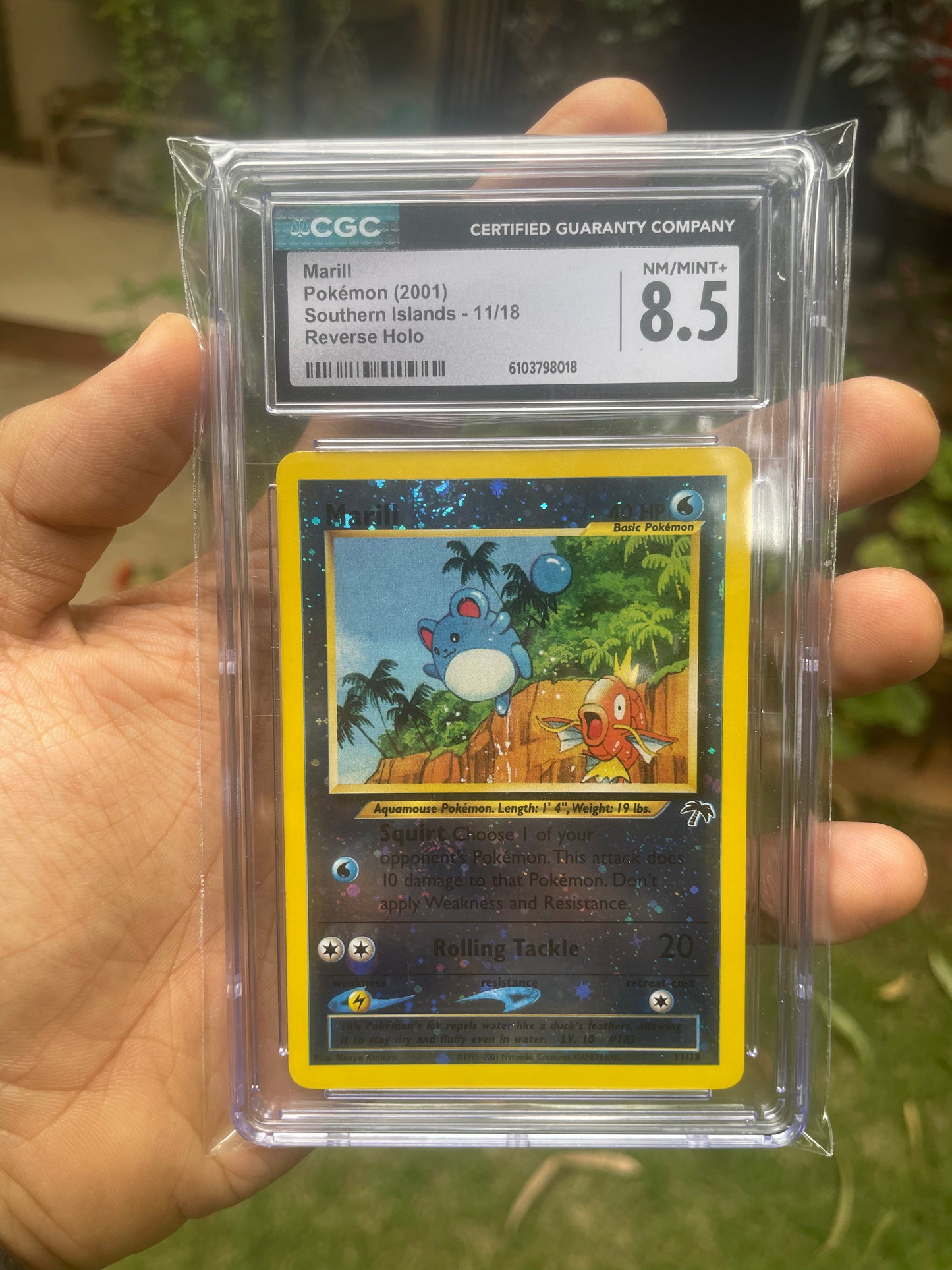 (CGC 8.5) 2001 Marill 11 Southern Islands (2 Swirls)