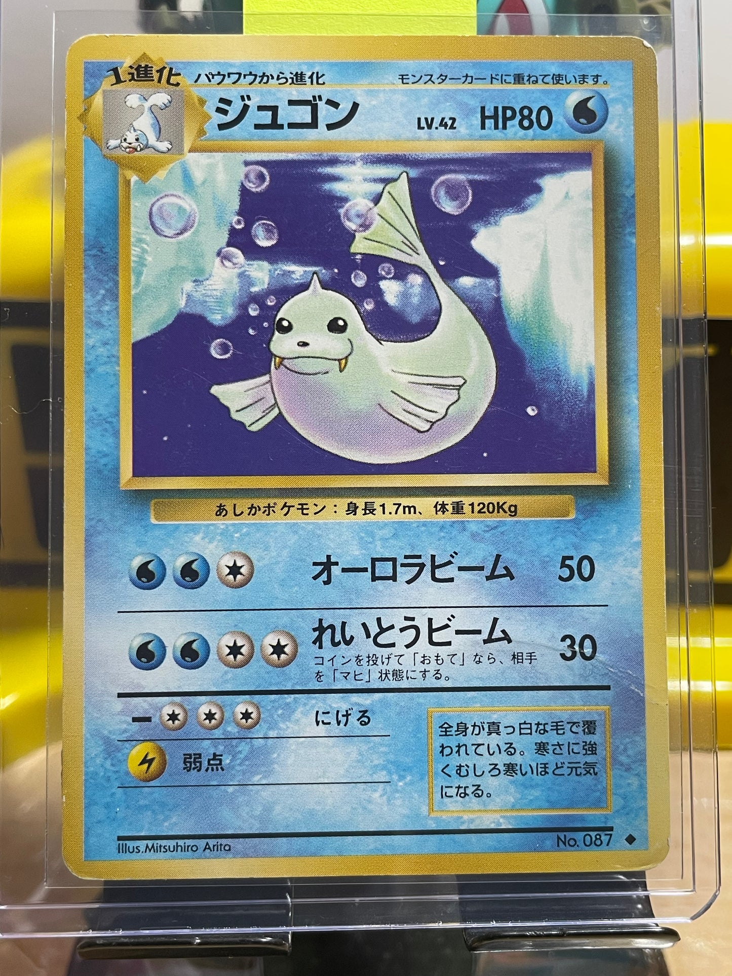 1996 Dewgong #87 Base Expansion (JP)