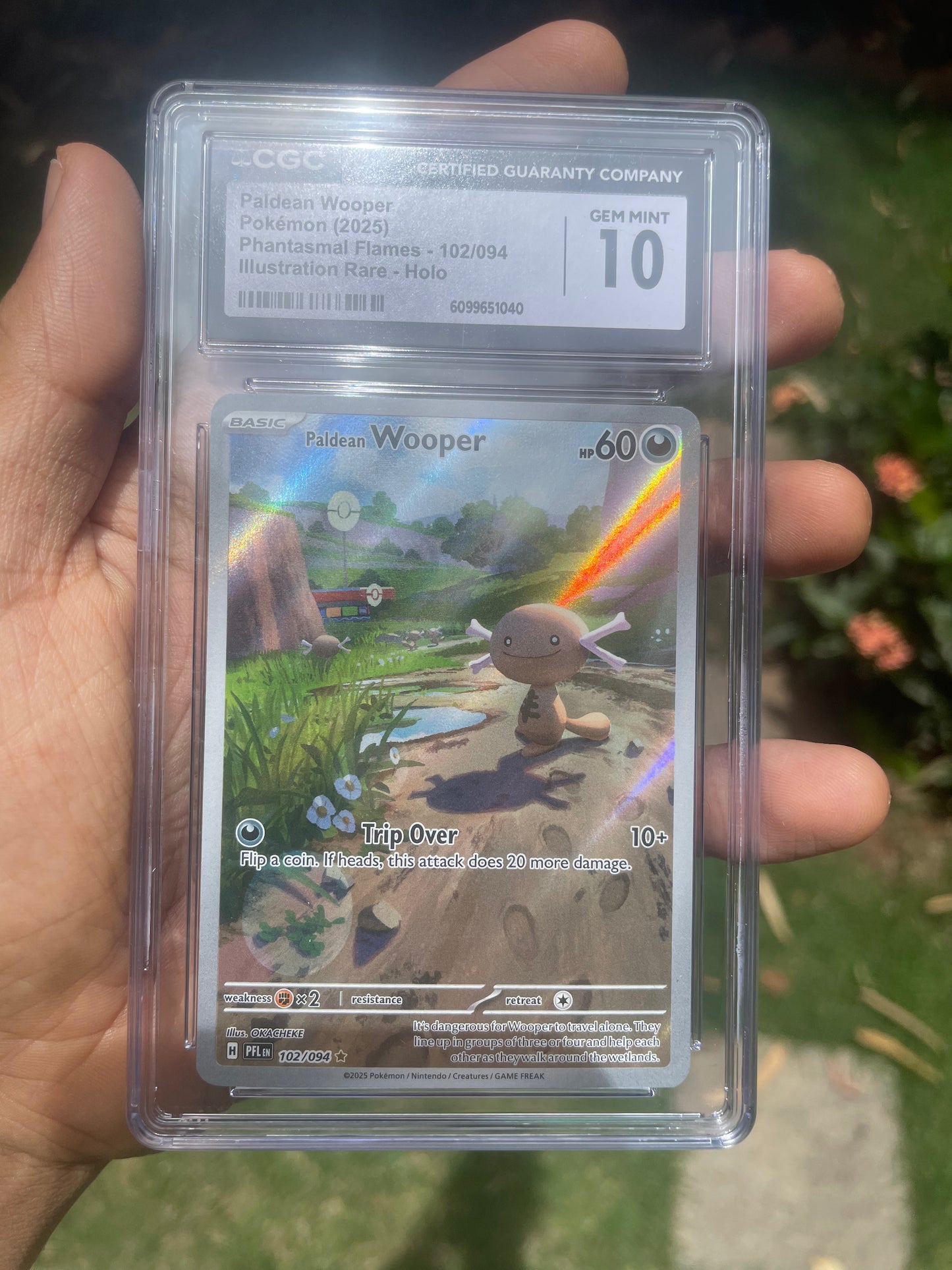 (CGC 10) 2025 Paldean Wooper 102/094 Phantasmal Flames