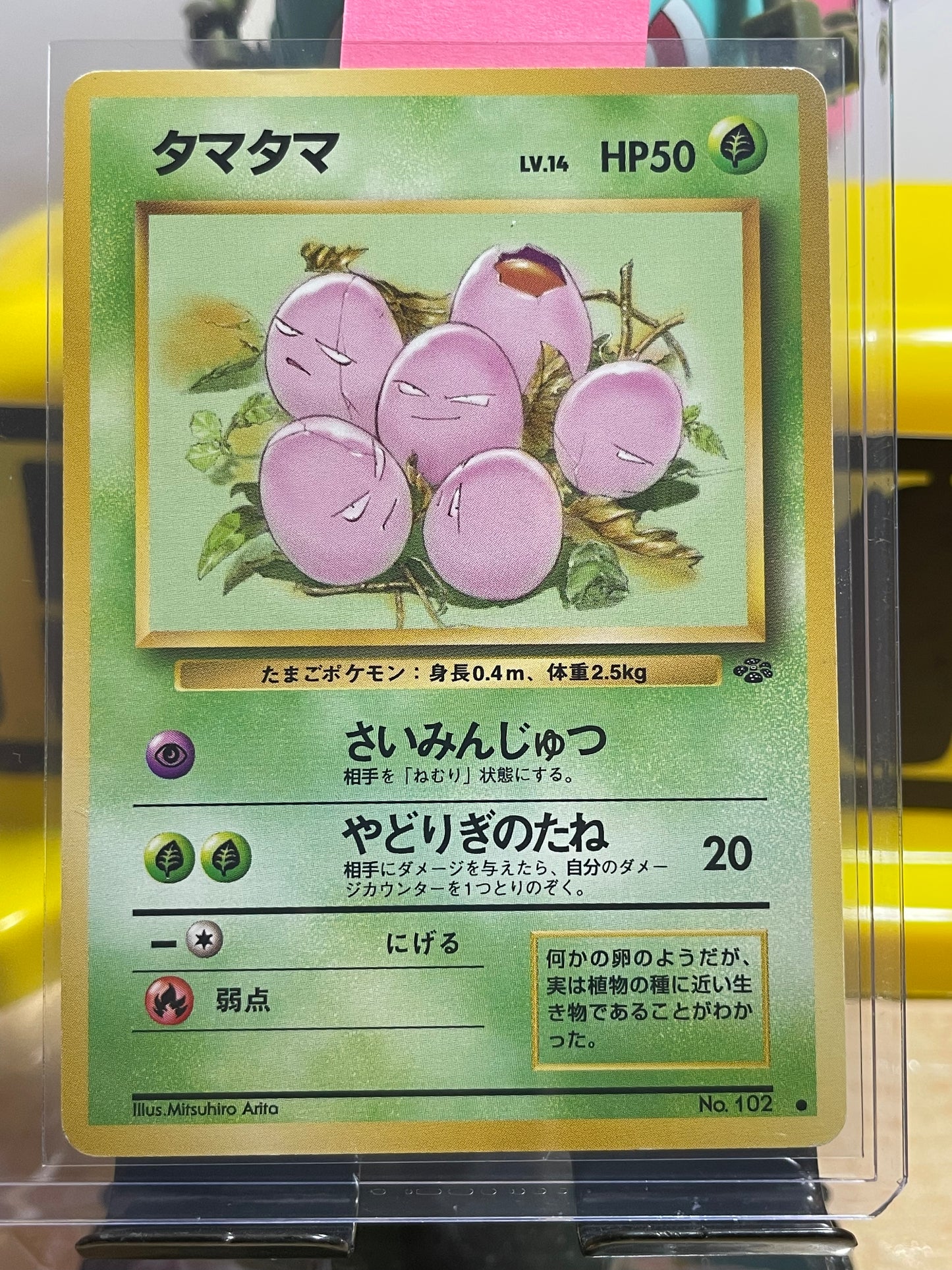 1997 Exeggcute #102 Jungle (JP)