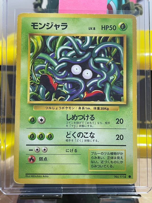 1996 Tangela #114 Base Expansion (JP)