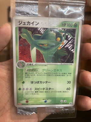 2005 Sceptile 063/PCG-P Meiji Promo (Sealed)