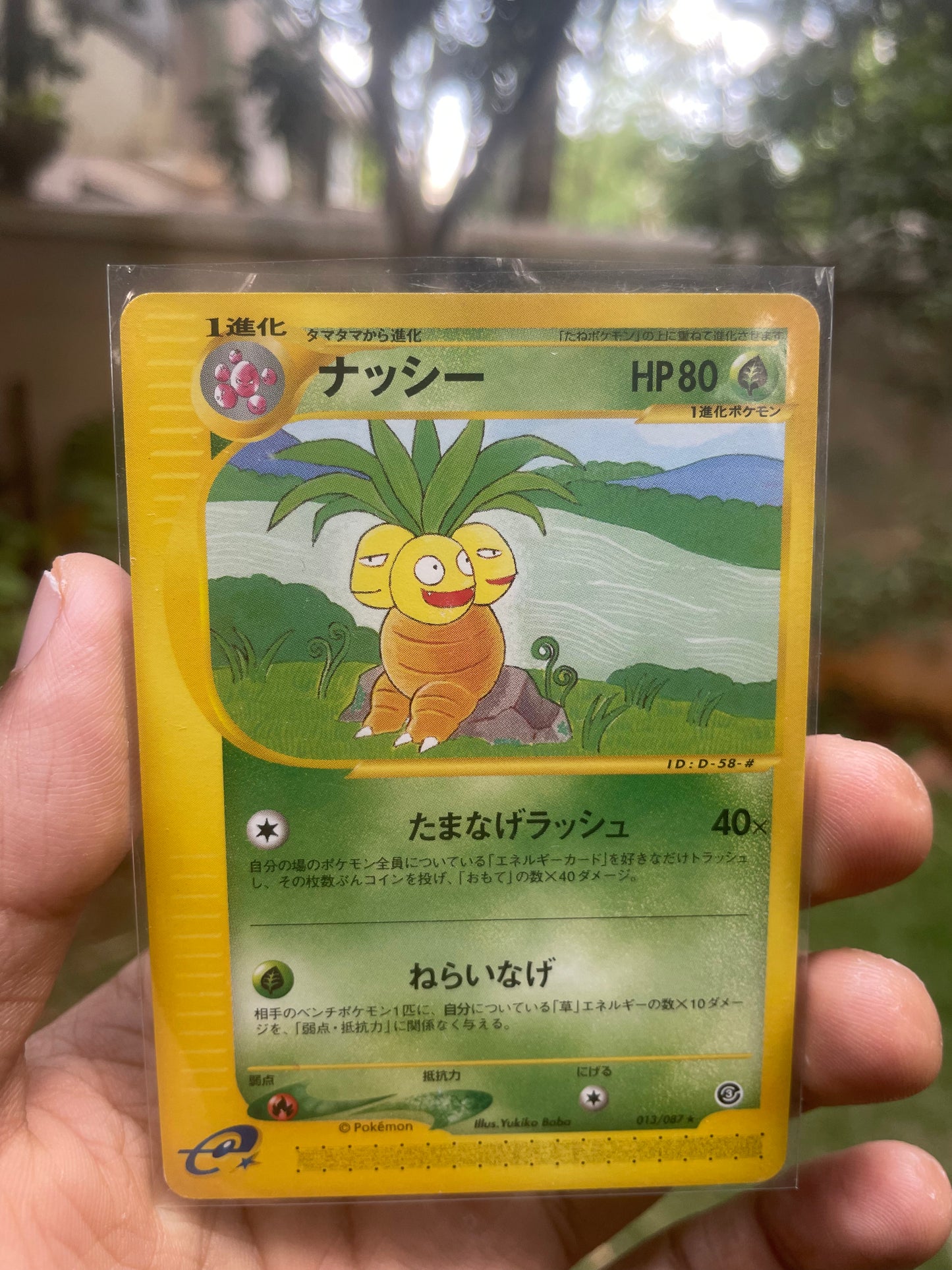 2001 Exeggutor #13 Wind from the Sea (JP)