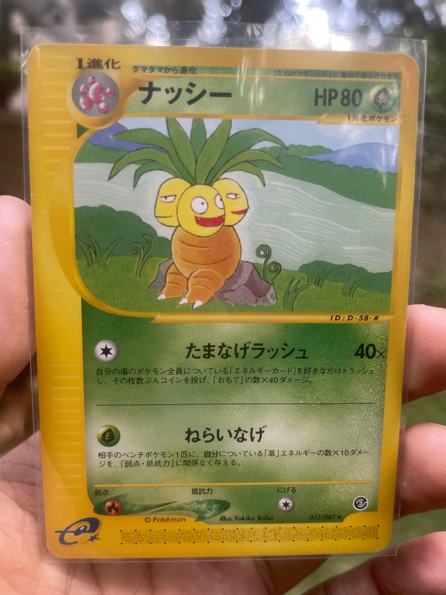 2001 Exeggutor #13 Wind from the Sea (JP)