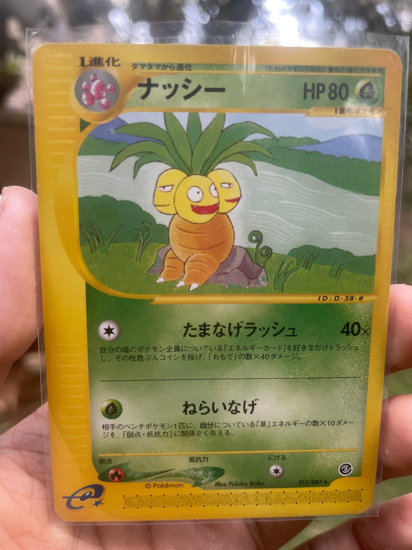 2001 Exeggutor #13 Wind from the Sea (JP)