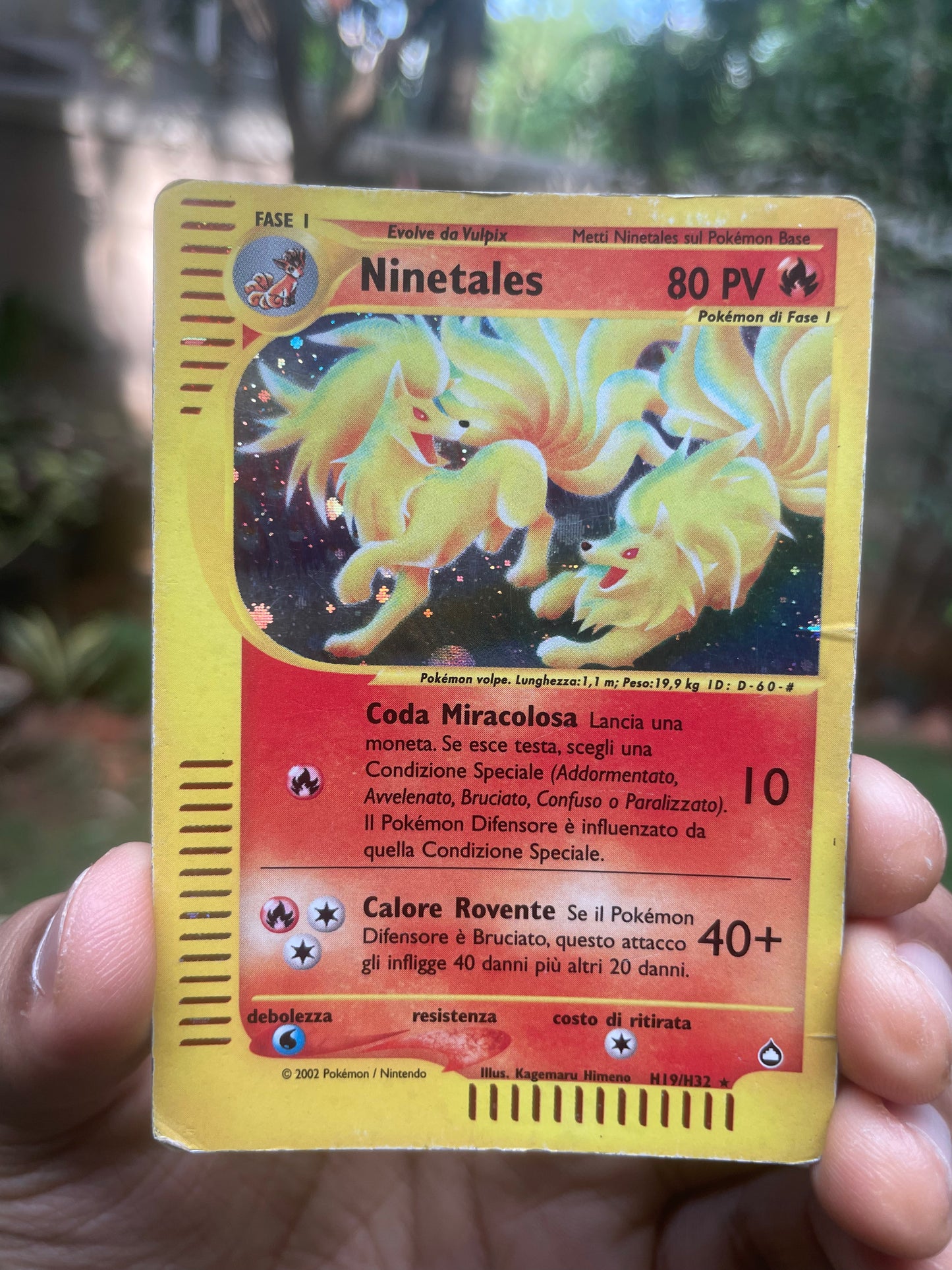 2003 Ninetales H19 Aquapolis Holo HP (Italian)