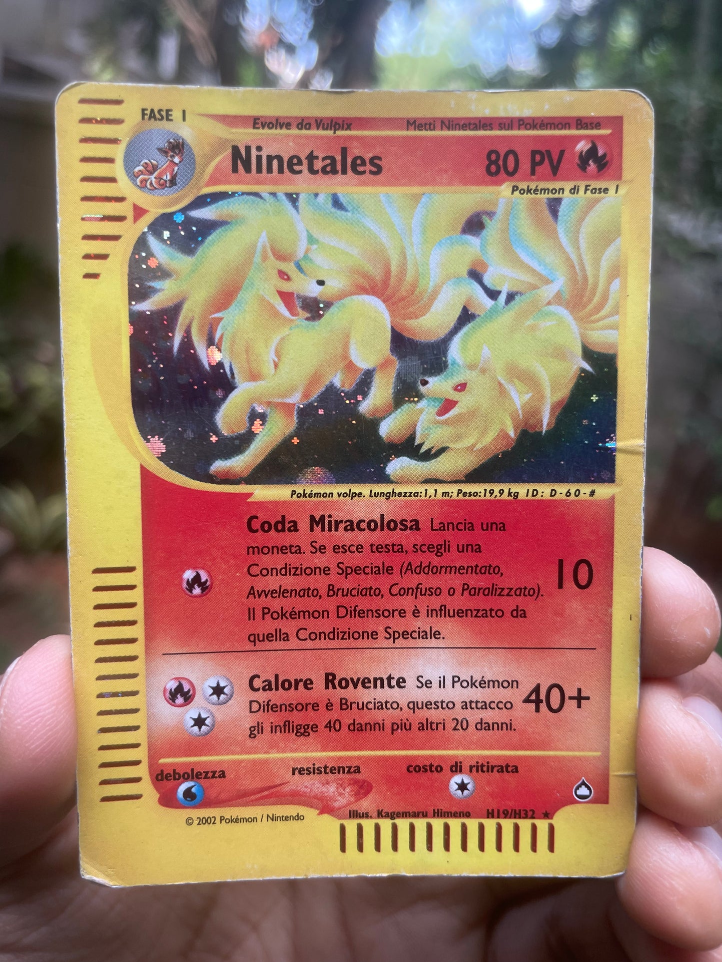 2003 Ninetales H19 Aquapolis Holo HP (Italian)