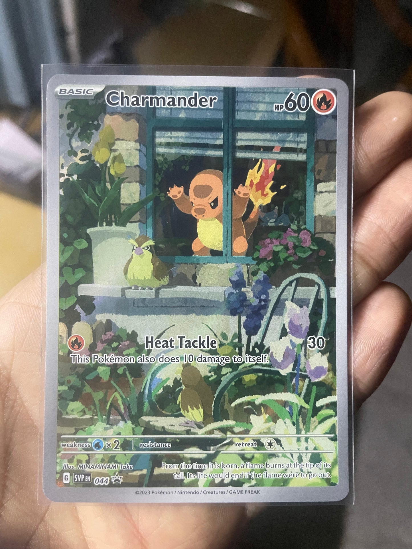 Charmander Holo Promo SV: Scarlet & Violet Promo Cards 044 NM