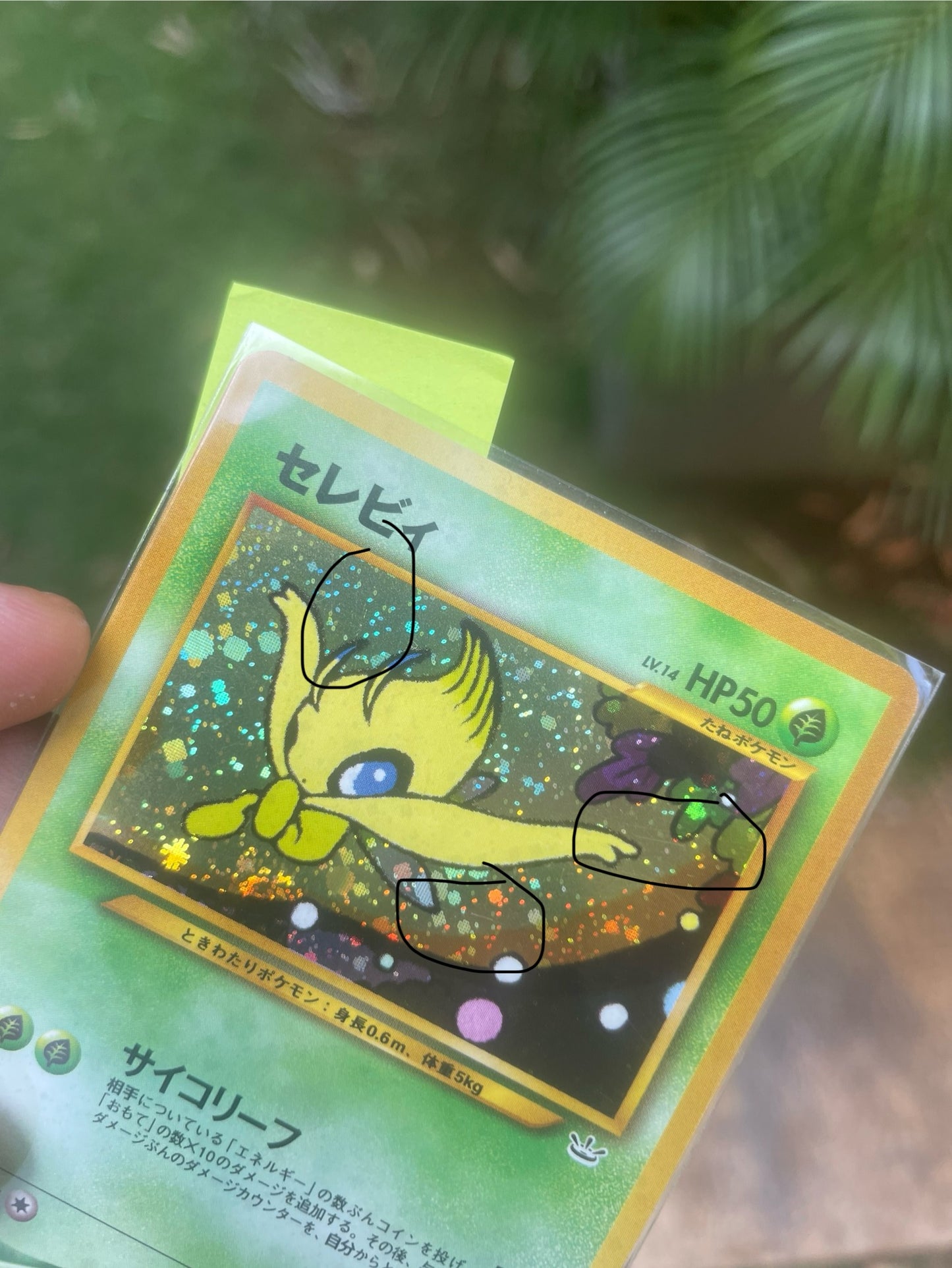 2000 Celebi #251 Neo 3 Promo (JP)