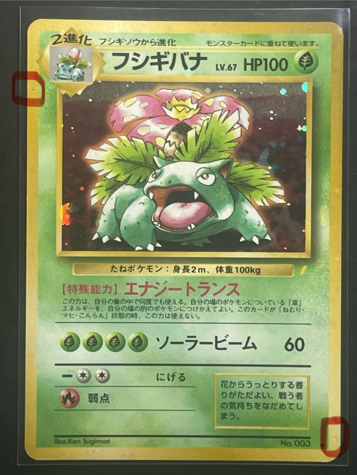 1999 Venusaur #3 CD Promo (JP) [LP]