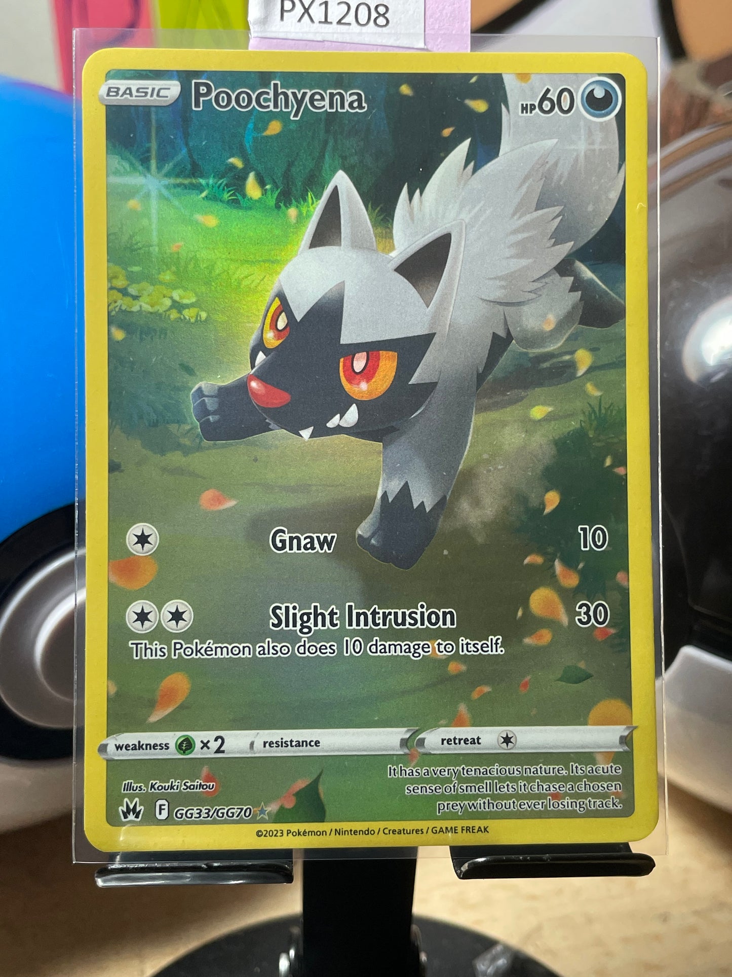 2023 Poochyena #GG33 Crown Zenith [NM]
