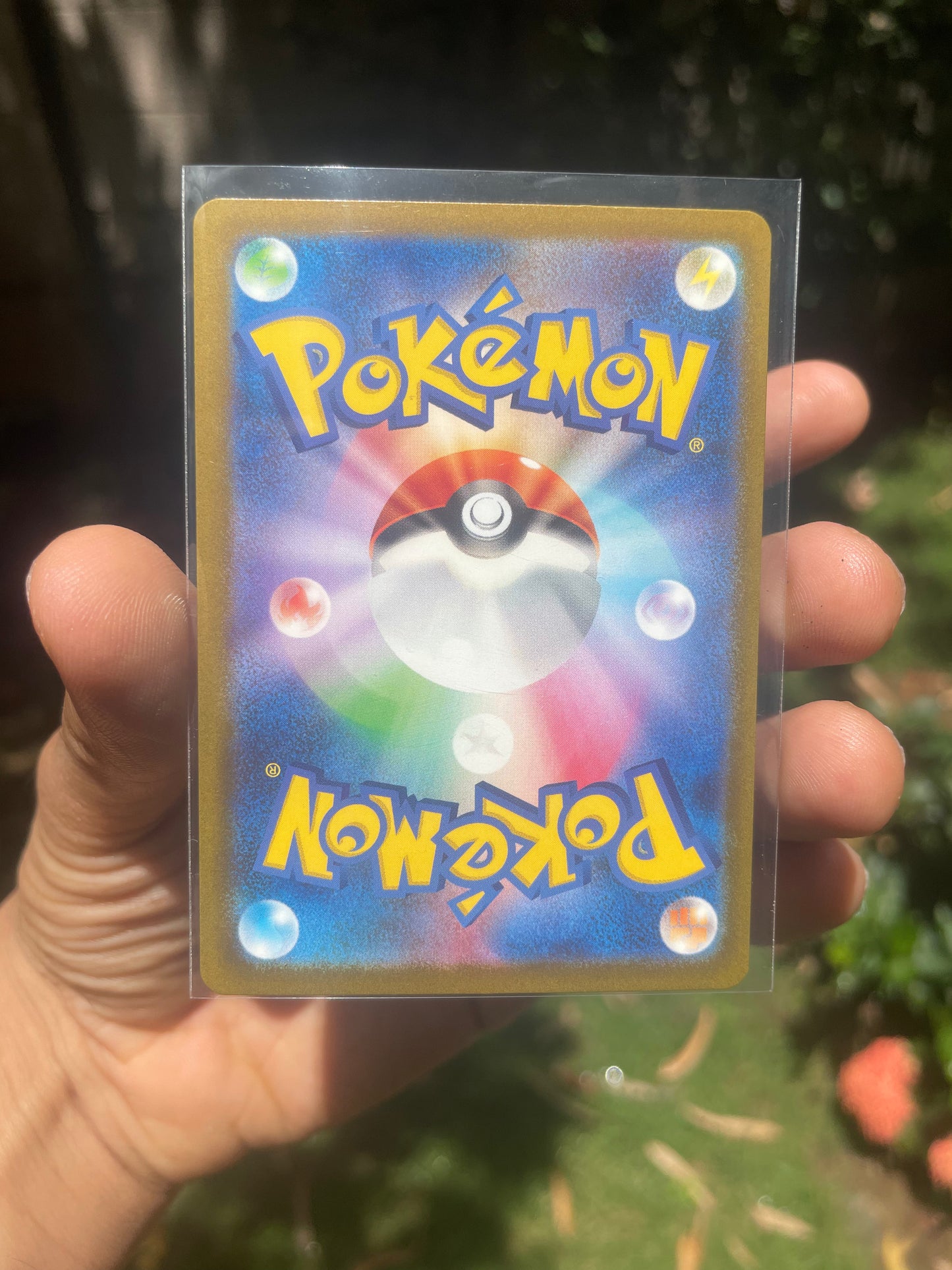 2023 Bulbasaur #50 SVG Special Set (JP) [NM]