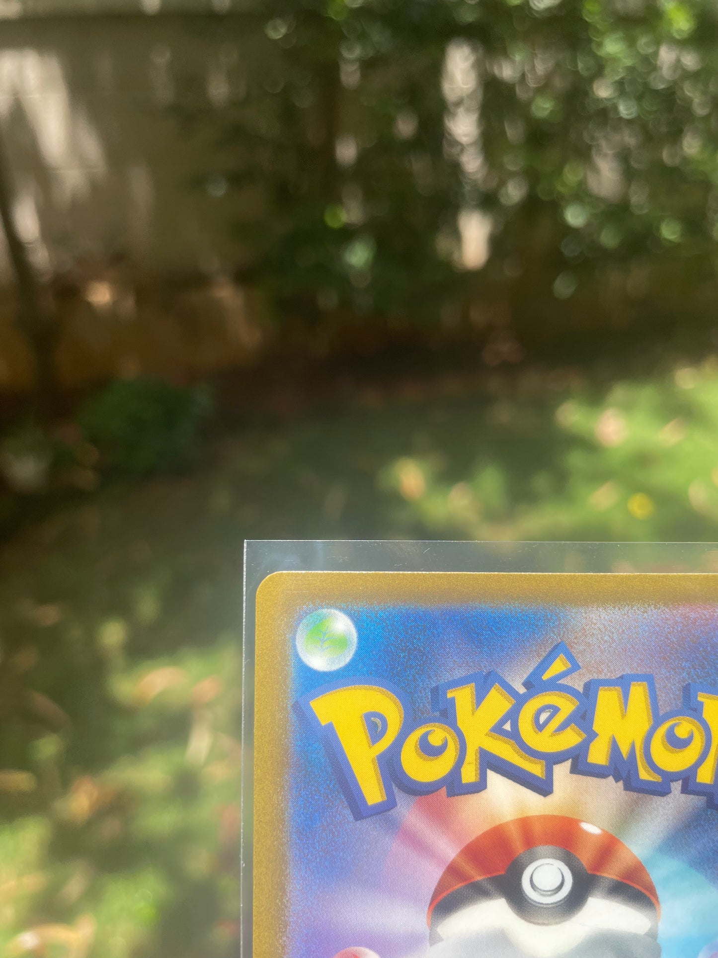 2023 Bulbasaur #50 SVG Special Set (JP) [NM]