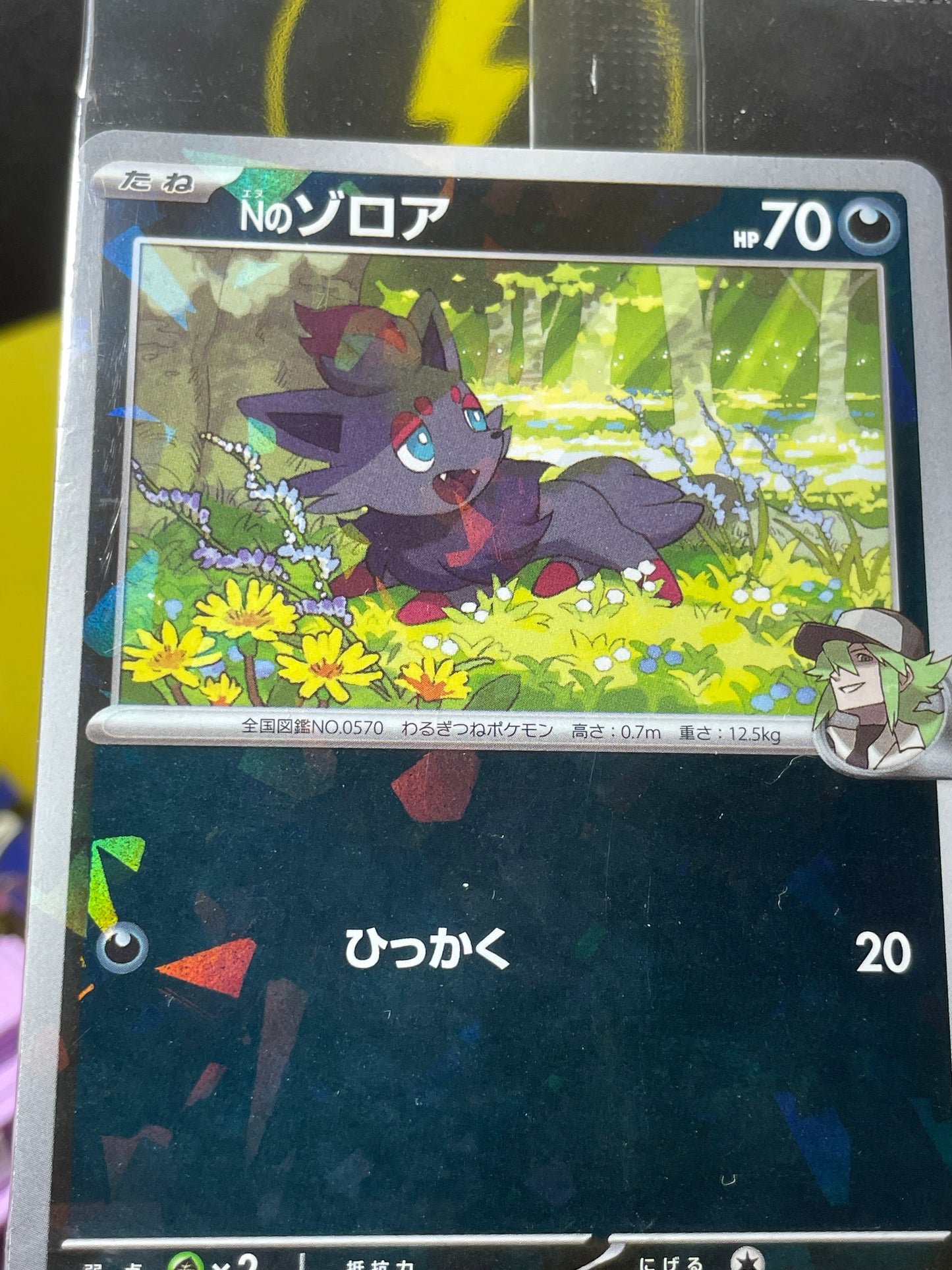 2025 N's Zorua #200 SV Promo (JP) [Sealed]
