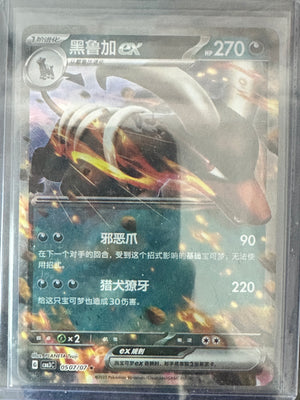 Houndoom ex #507
