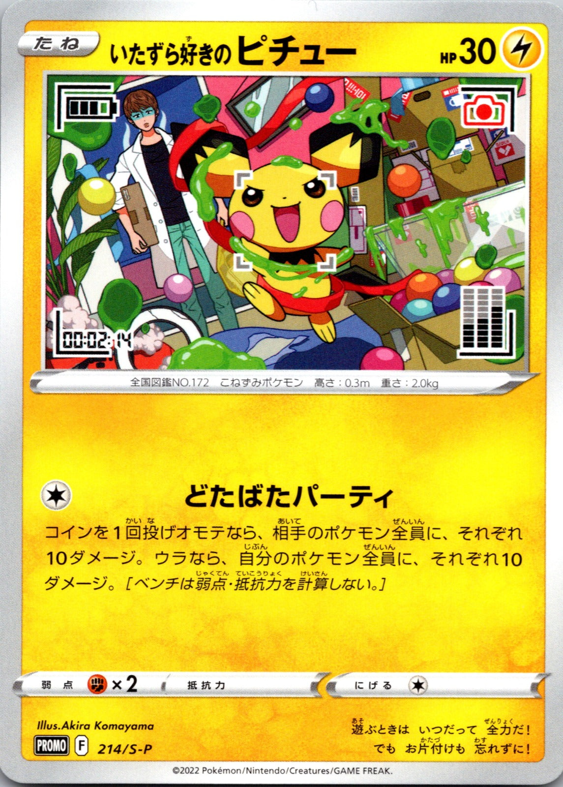 2019 Mischievous Pichu S-P: Sword & Shield Promos 214/S-P NM