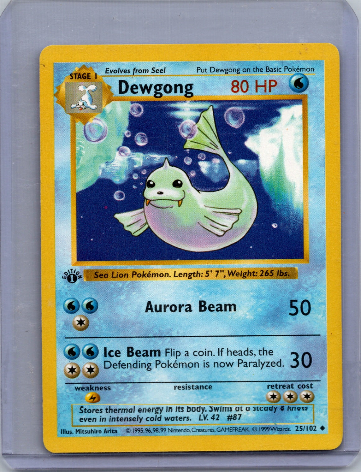 1999 Base Set [1st Edition] 025/102 Dewgong Uncommon T