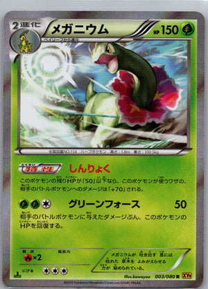 2015 Broken Heavens 003/080 Meganium [1st Edition] Holo Rare G246