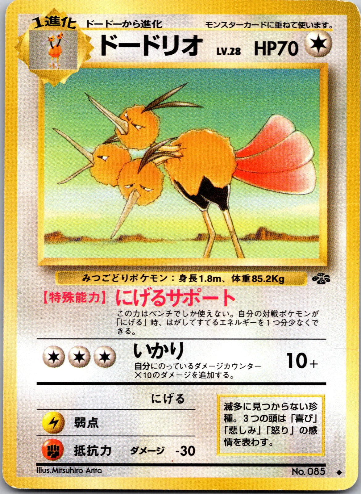 2013 XY Promo 204/XY-P Mega Tokyo's Pikachu LP