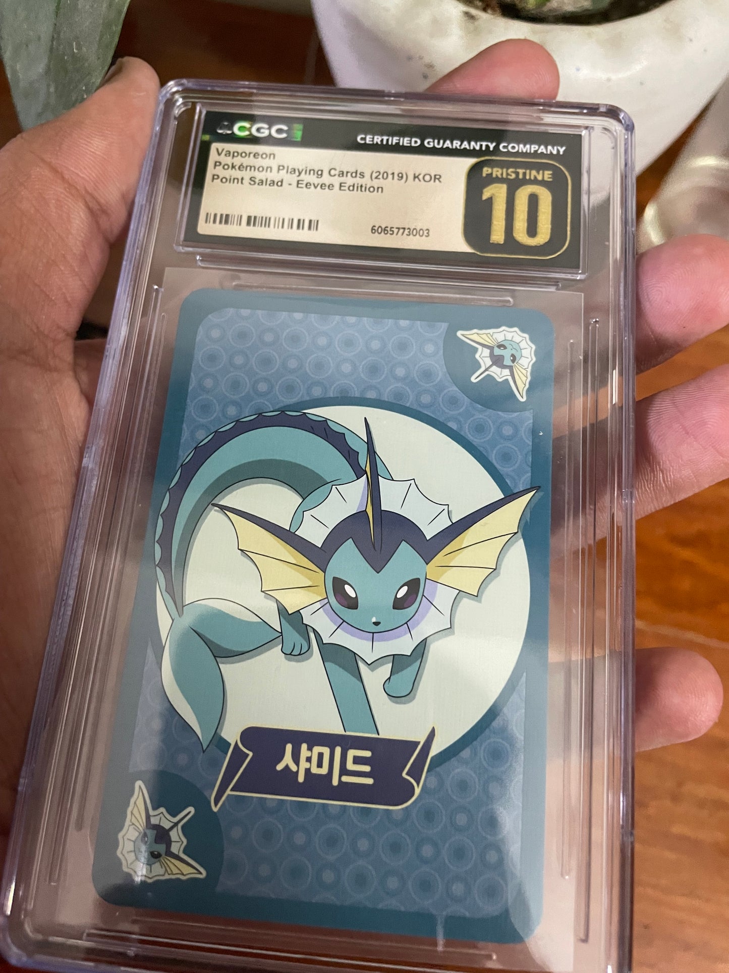 Vaporeon (샤미드 / Syamid in Korean)