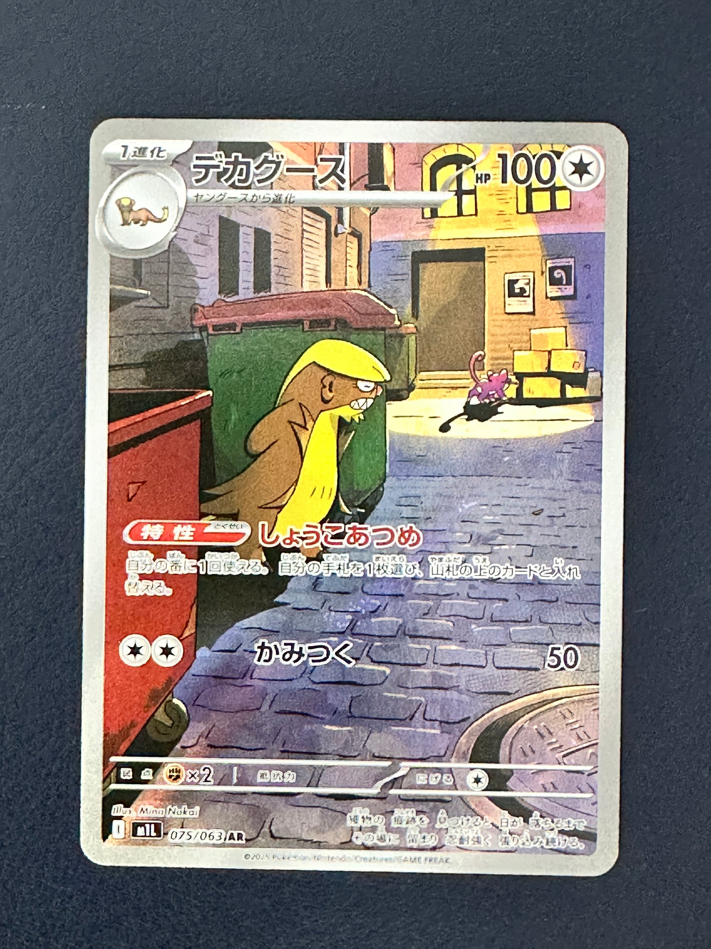 Gumshoos AR (075/063)