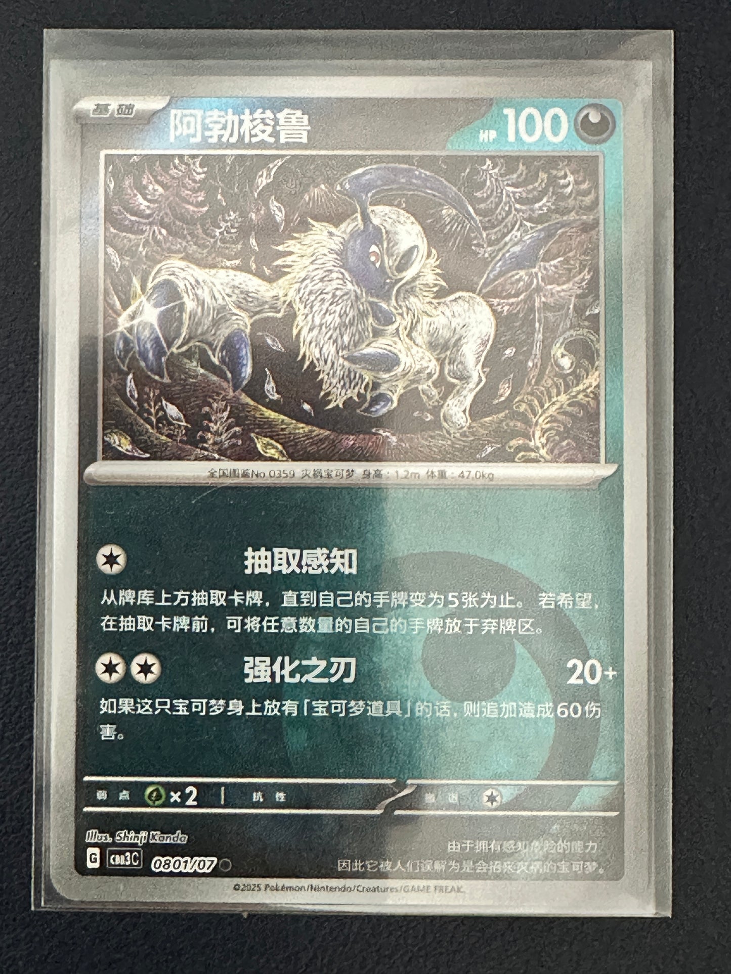 Absol #801 (Shinji Kanda Art)