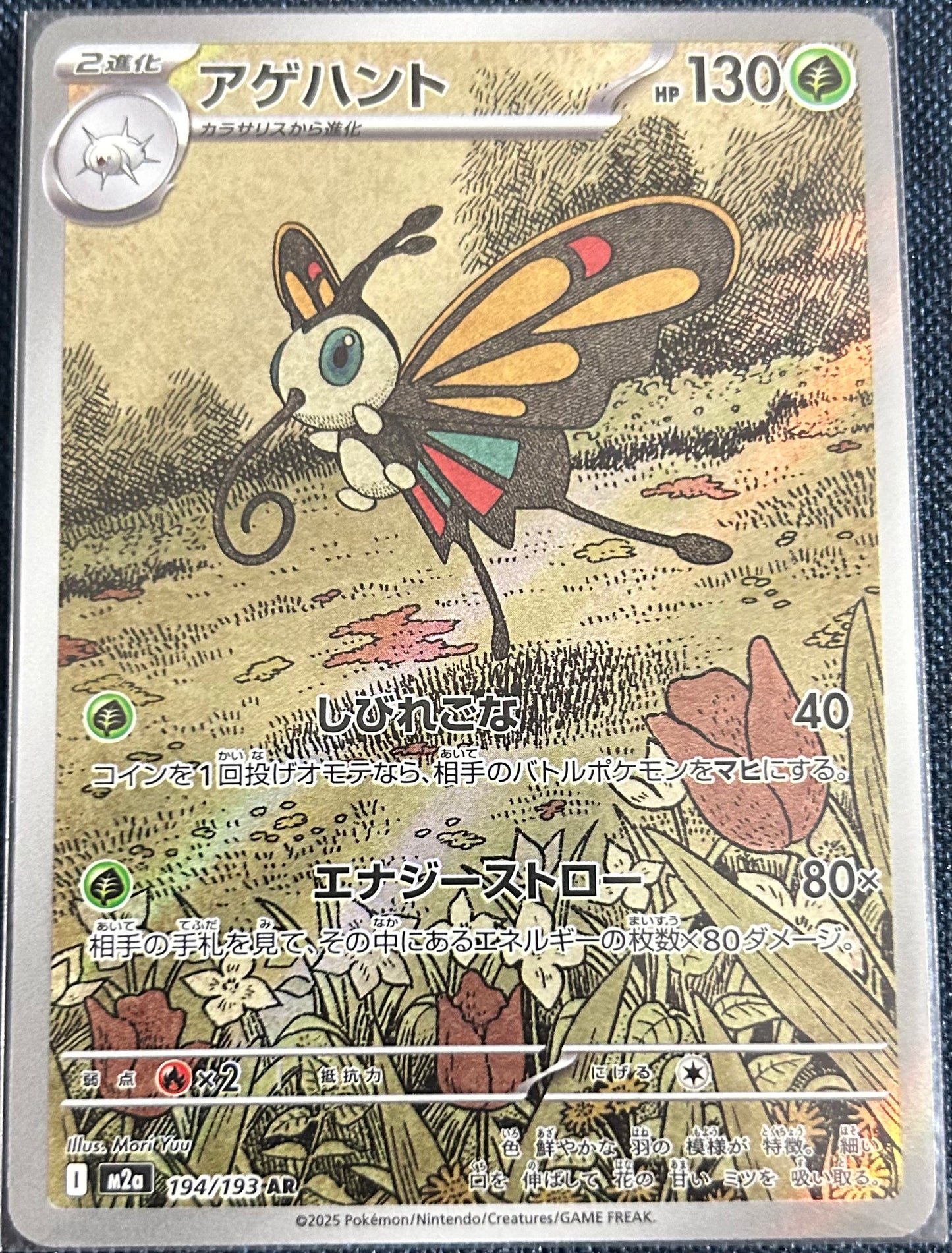 Beautifly AR 194/193 (M2a) (Japanese)