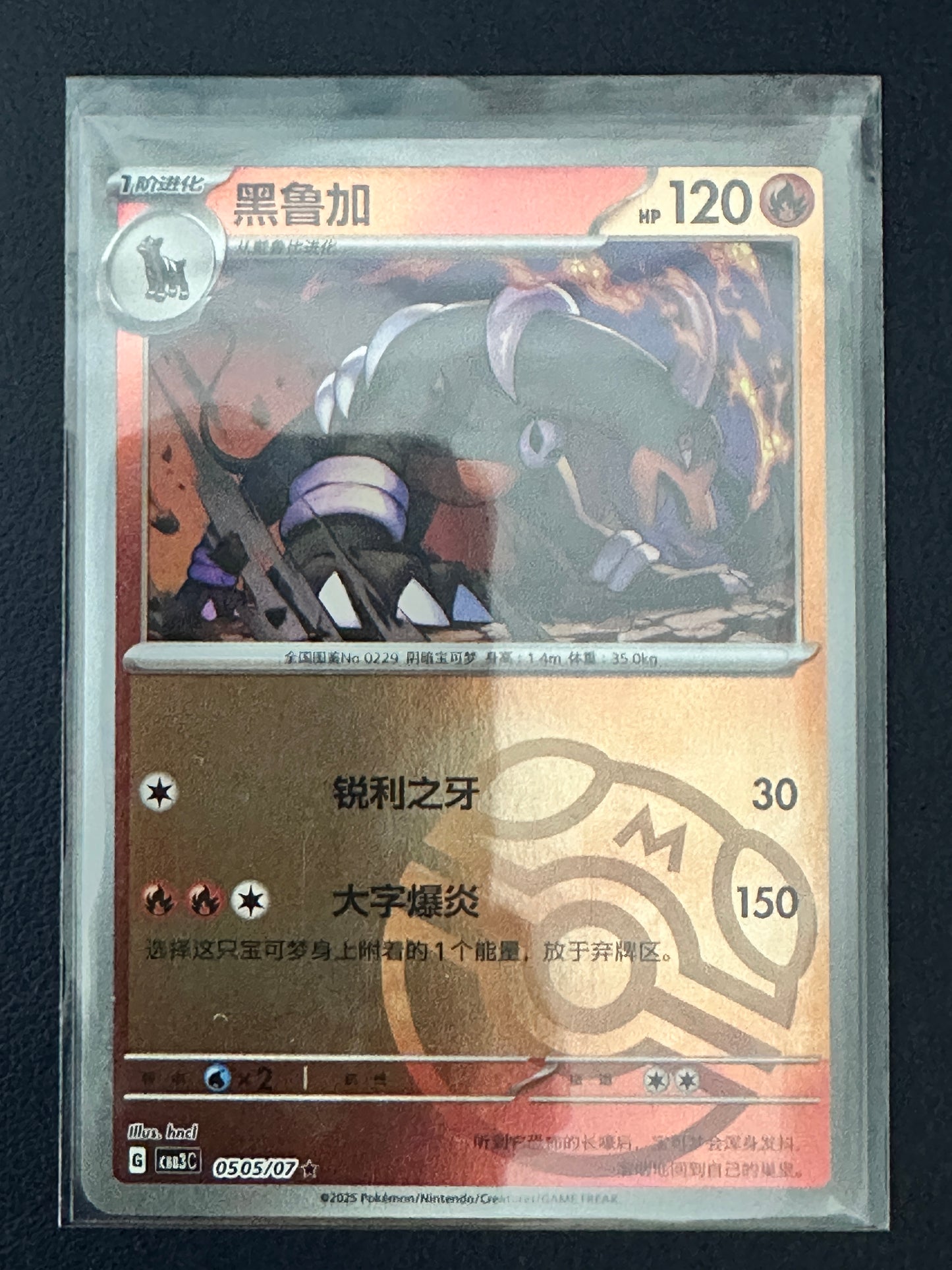 Houndoom [Masterball] #505