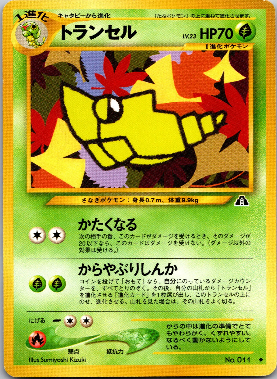 2000 Metapod Crossing the Ruins... NM