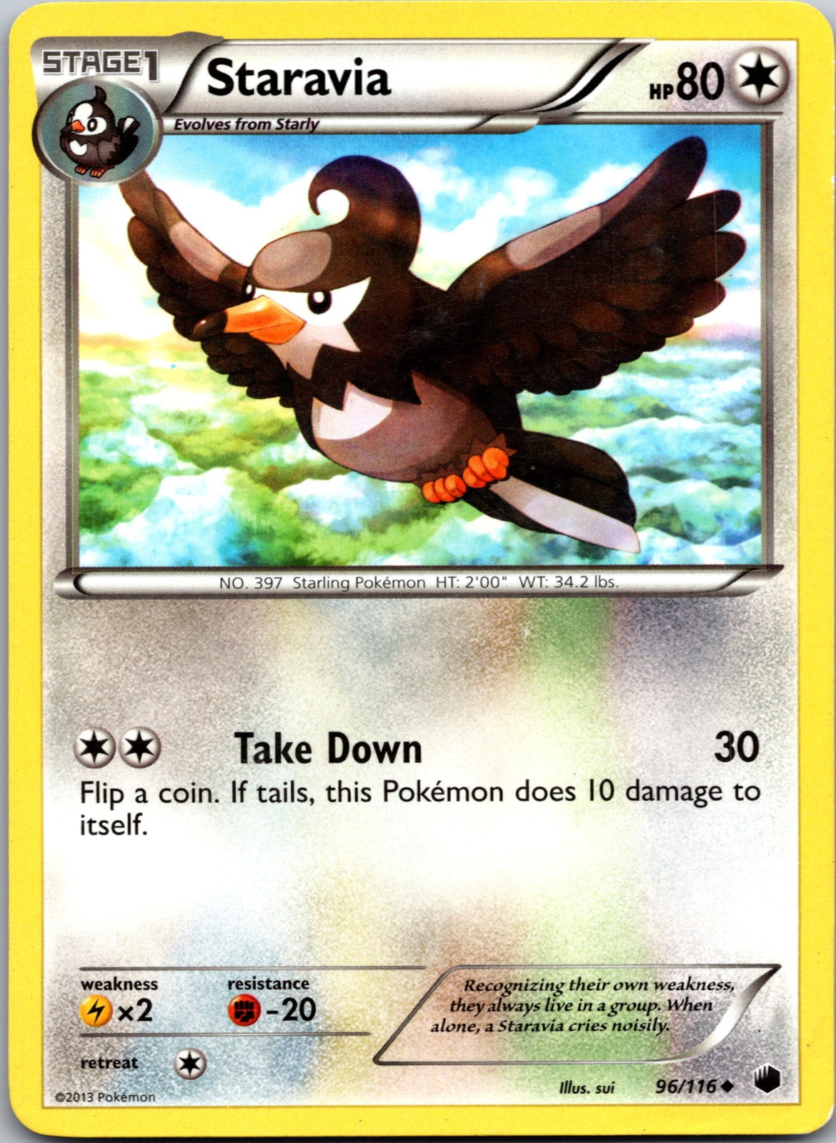2013 Plasma Freeze 96/116 Staravia LP E155