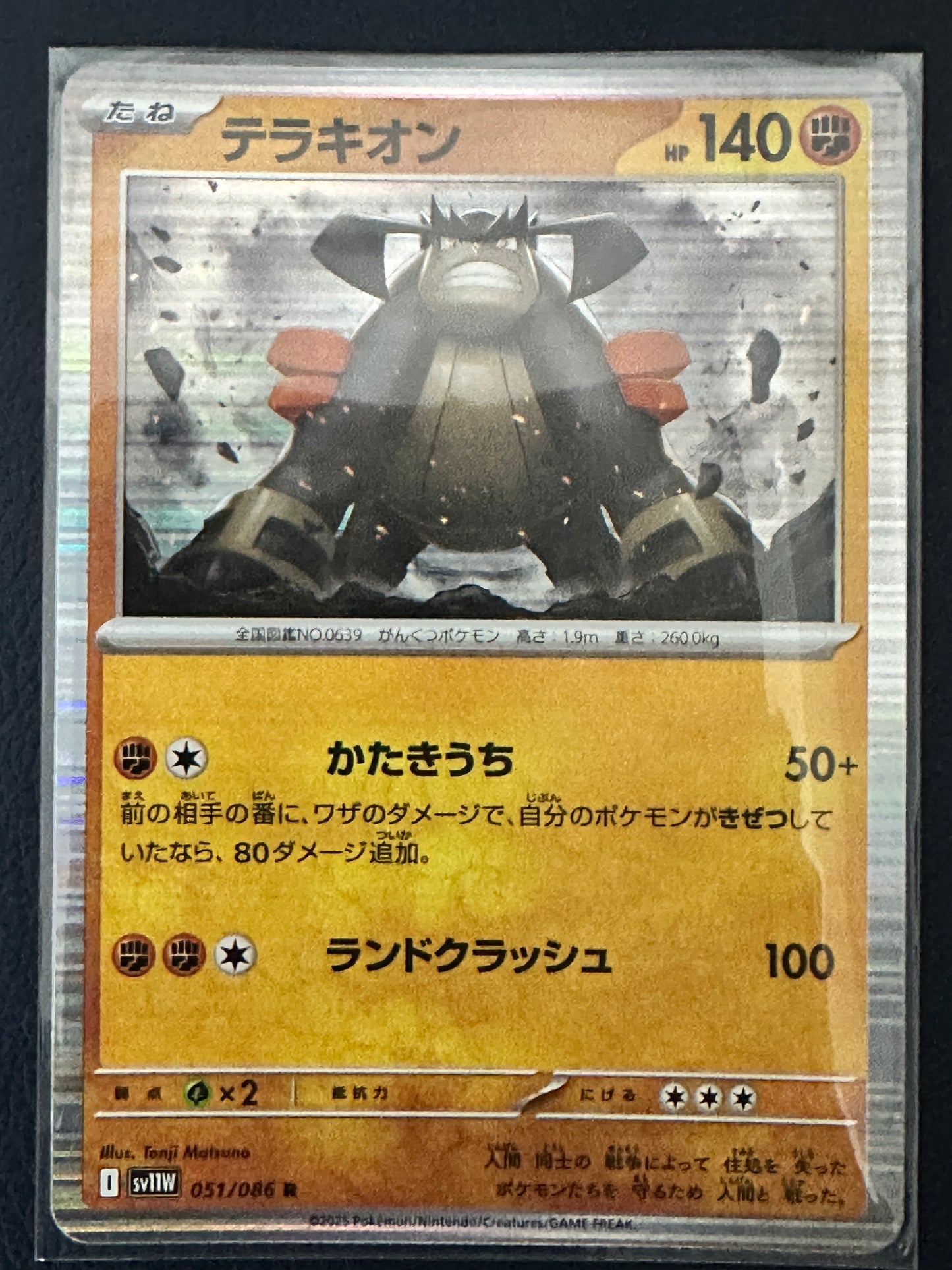 Terrakion 051/086 White Flare (Holo)