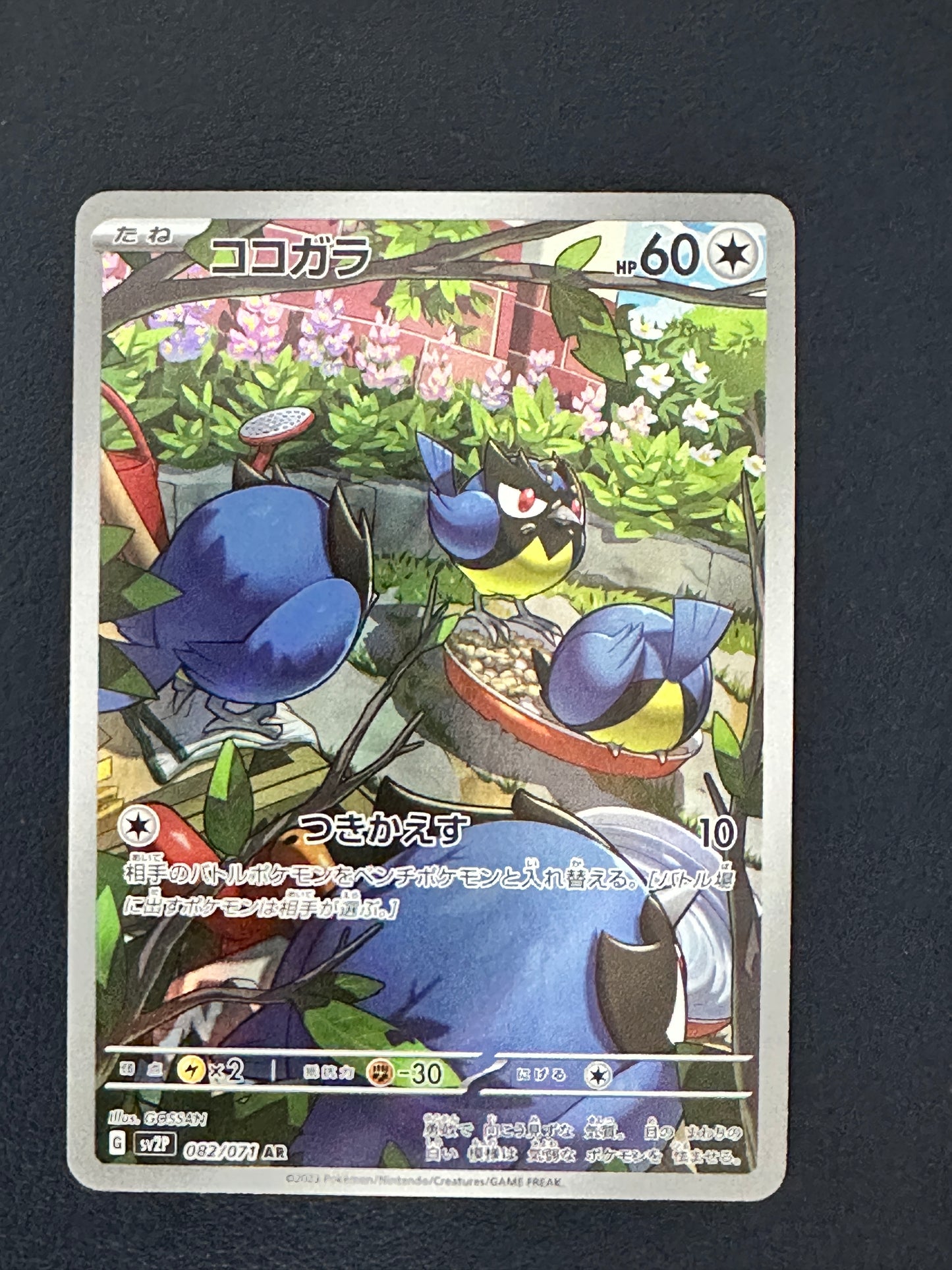 Rookidee [Snow Hazard] [082/071] [NM]