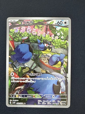 Rookidee [Snow Hazard] [082/071] [NM]