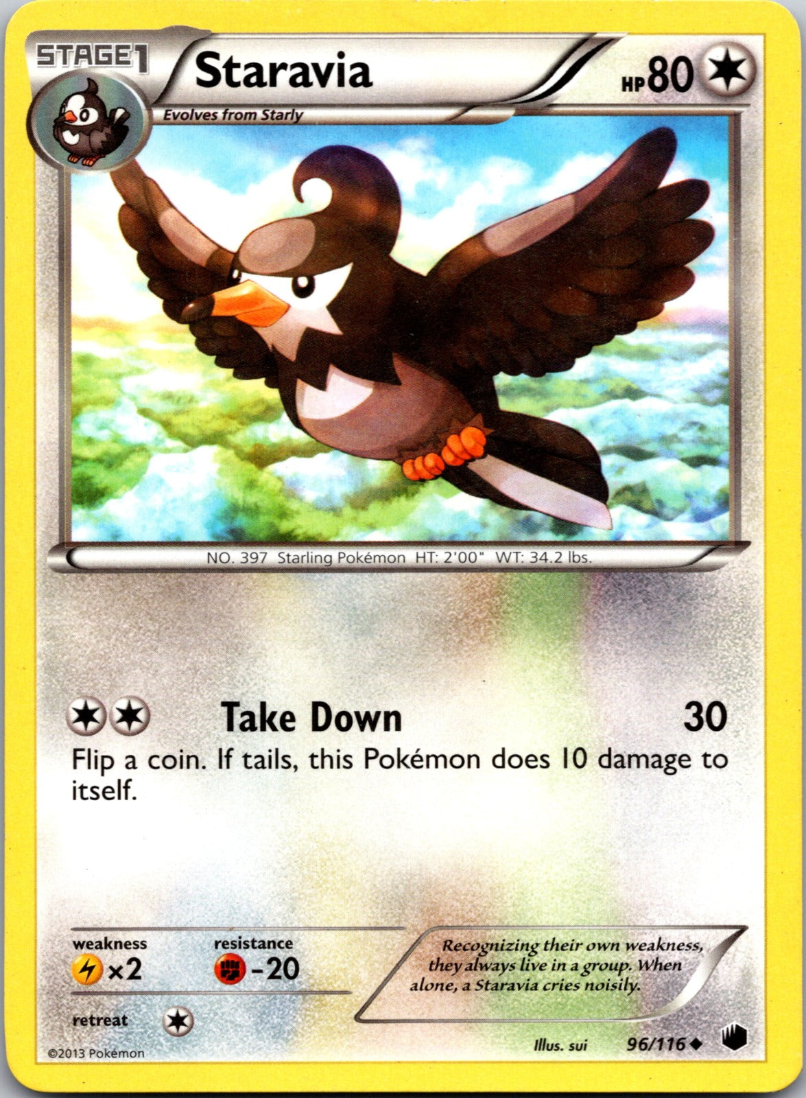 2013 Plasma Freeze 96/116 Staravia LP