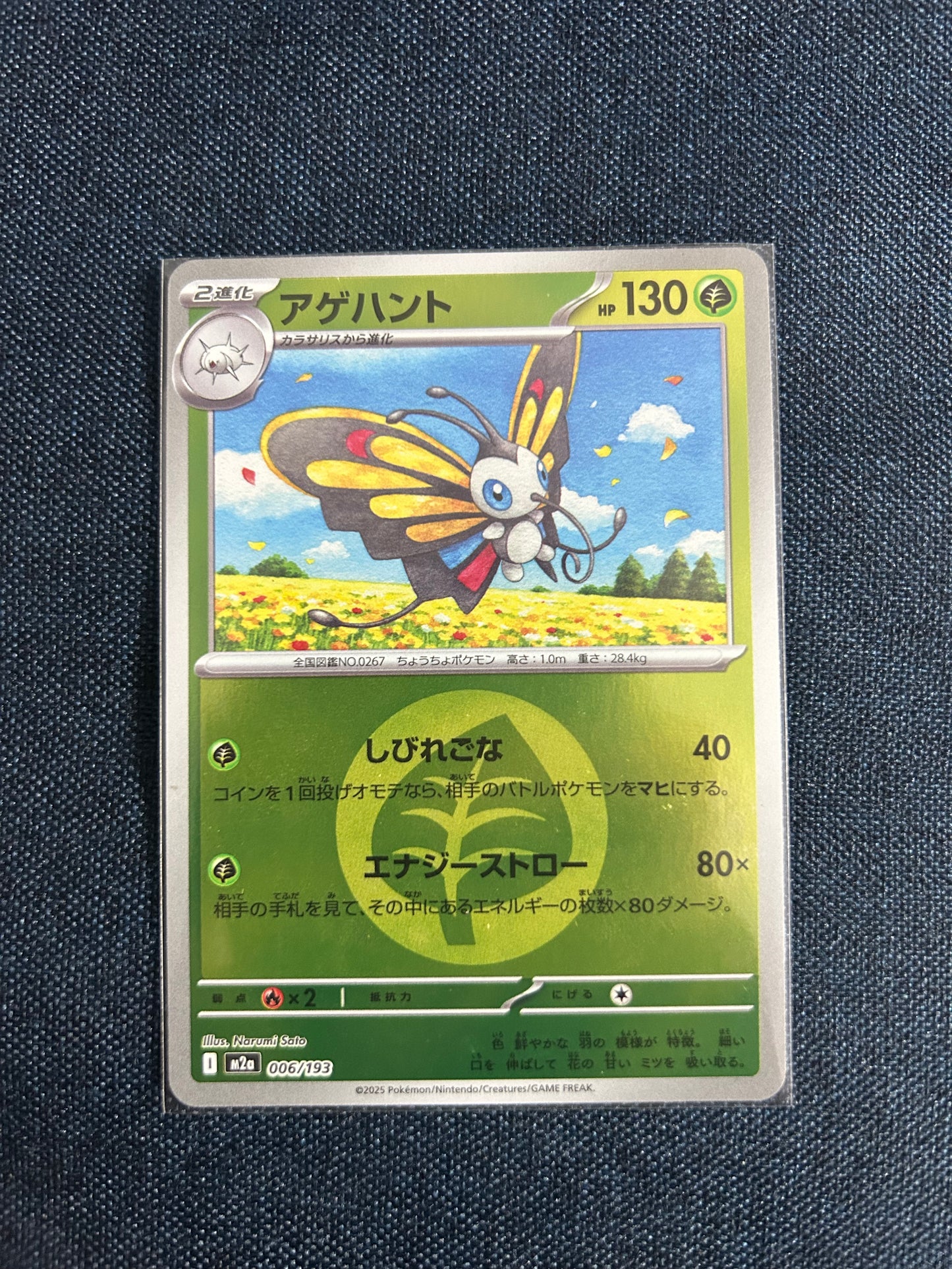 Beautifly [Energy] 006/193 (M2a) (Japanese)